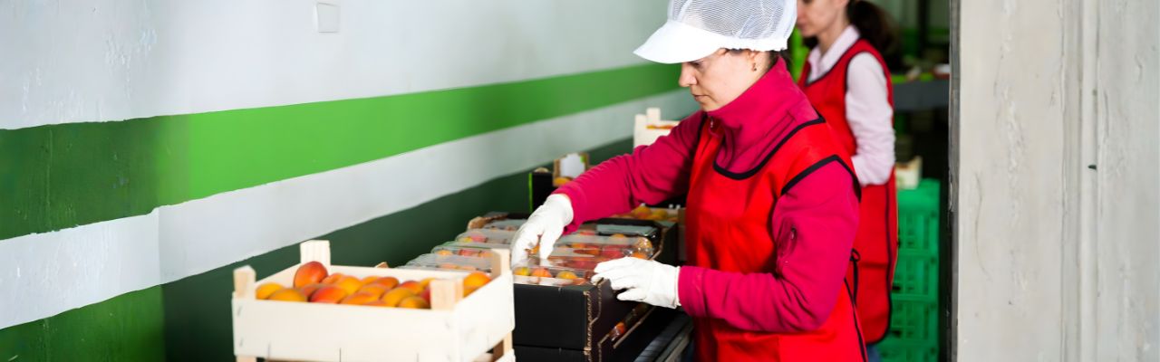 Food Production & Inventory Automation System